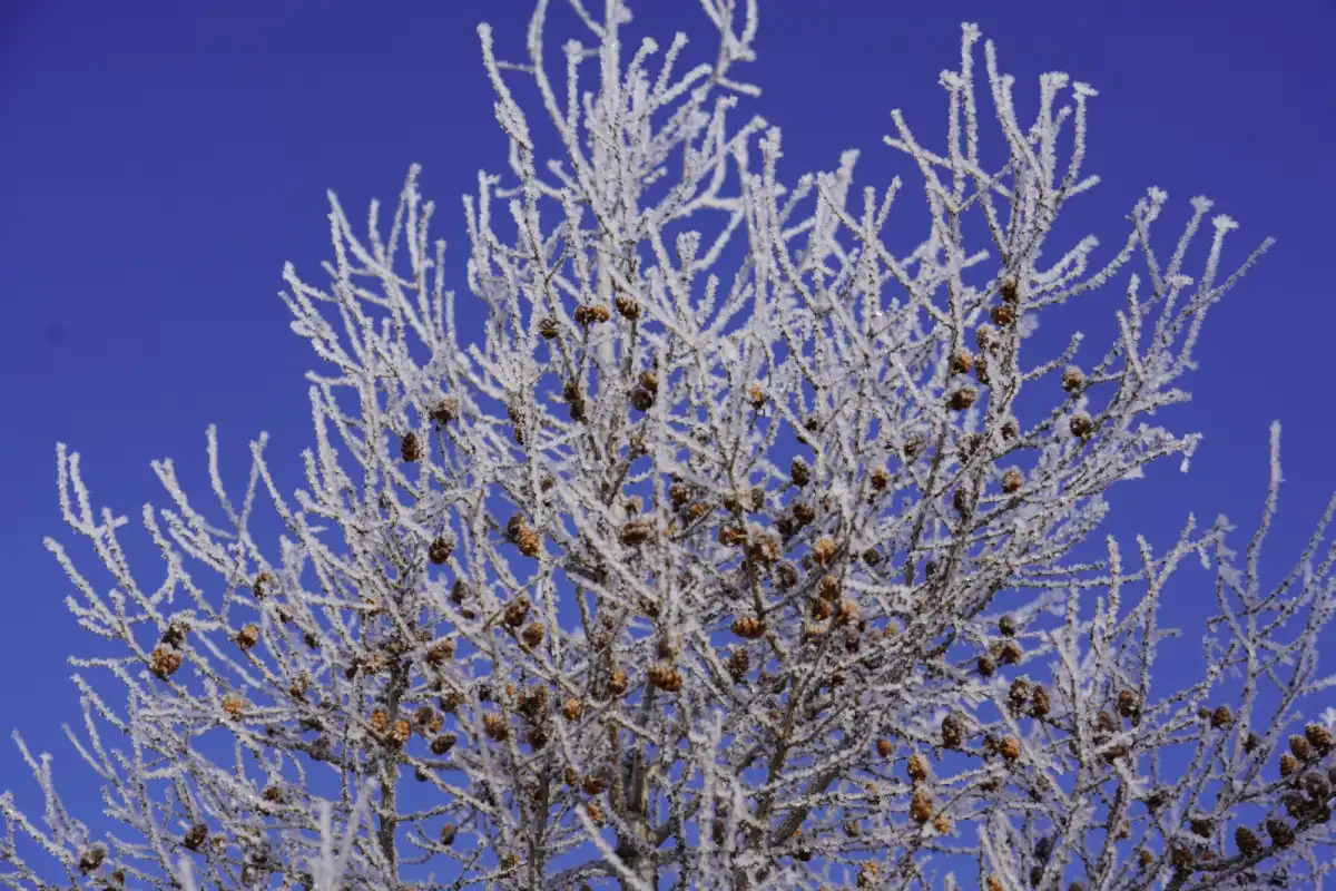 Какой будет погода в Астане сегодня