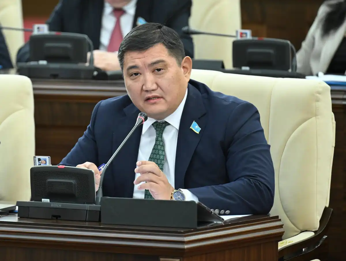 Обогащаются за счет населения – Базарбек о частных владельцах сетей водоснабжения