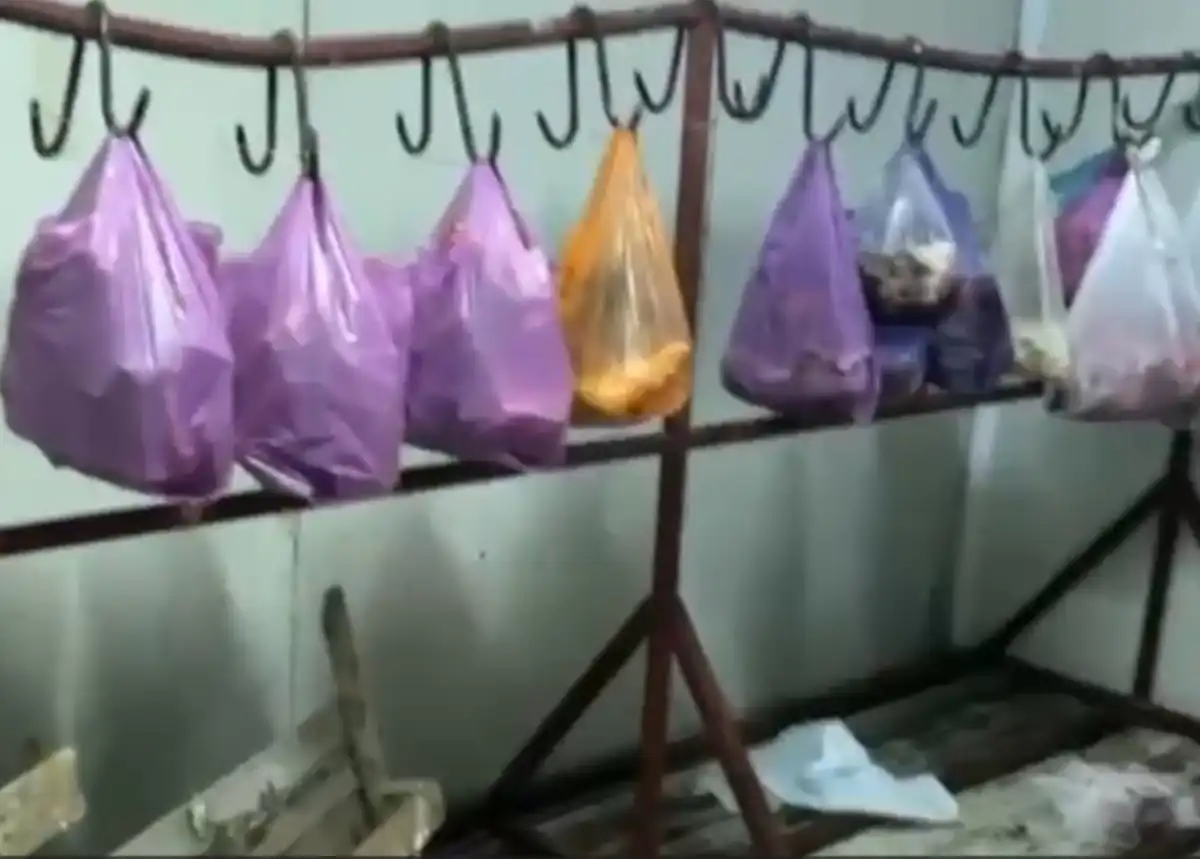 Нелегальный мясной цех оборудовали в хозпостройках частного дома в Астане – ВИДЕО