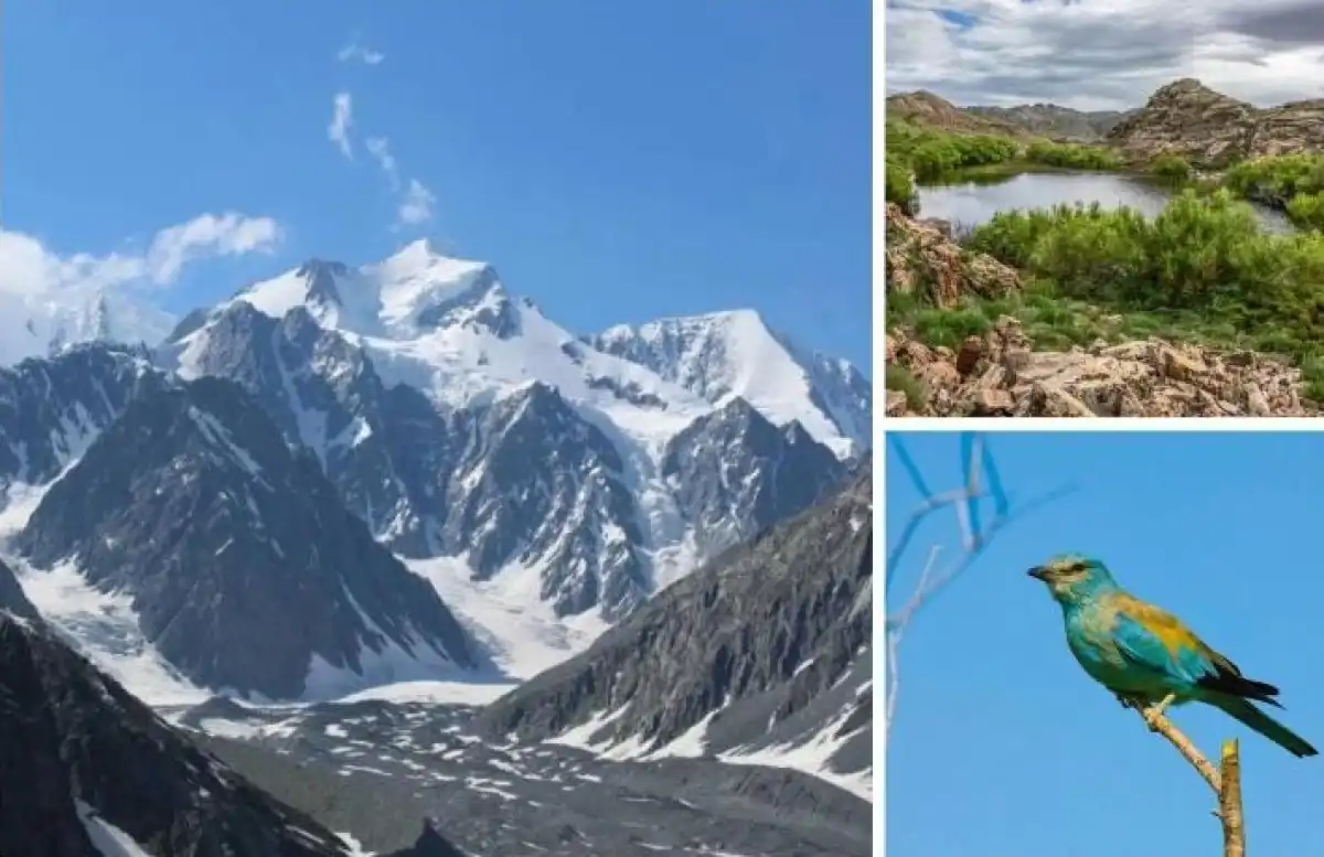 Концепцию по защите биоразнообразия приняли в Казахстане