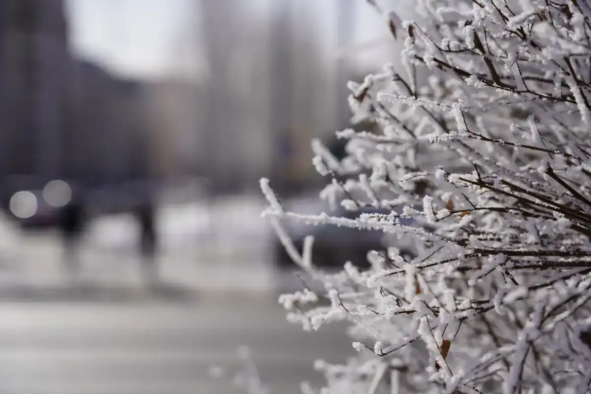 Какая погода ждет астанчан 6 марта