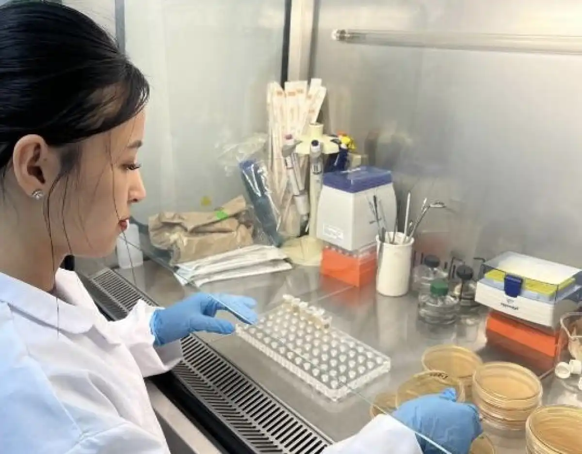 Ученые разрабатывают БАД для диабетиков