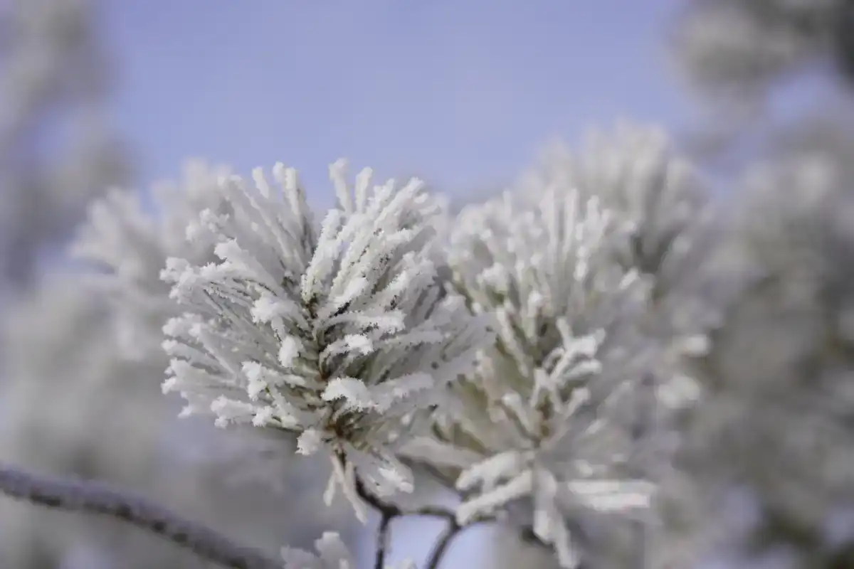 Похолодание ожидается в столице