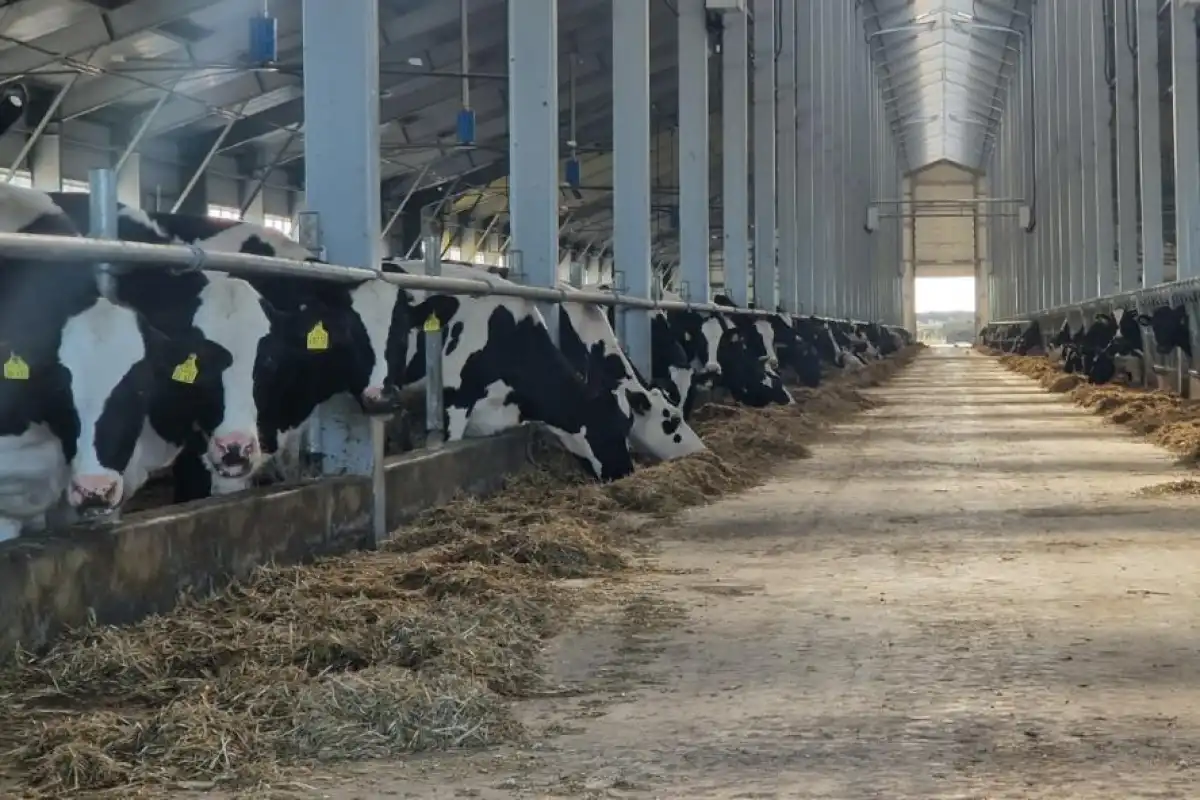 Животноводов начали кредитовать под 6% в Казахстане