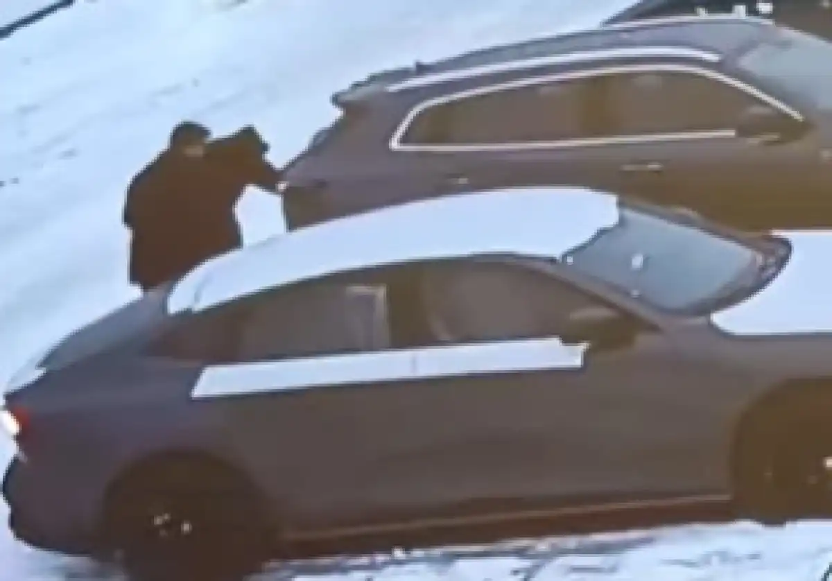 Преступная группа угнала машину из салона в Алматинской области