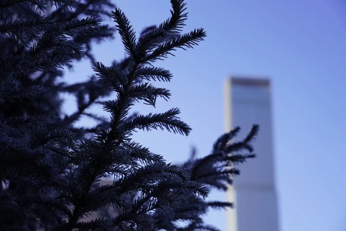 Астана сегодня: без осадков, температура до +4°С