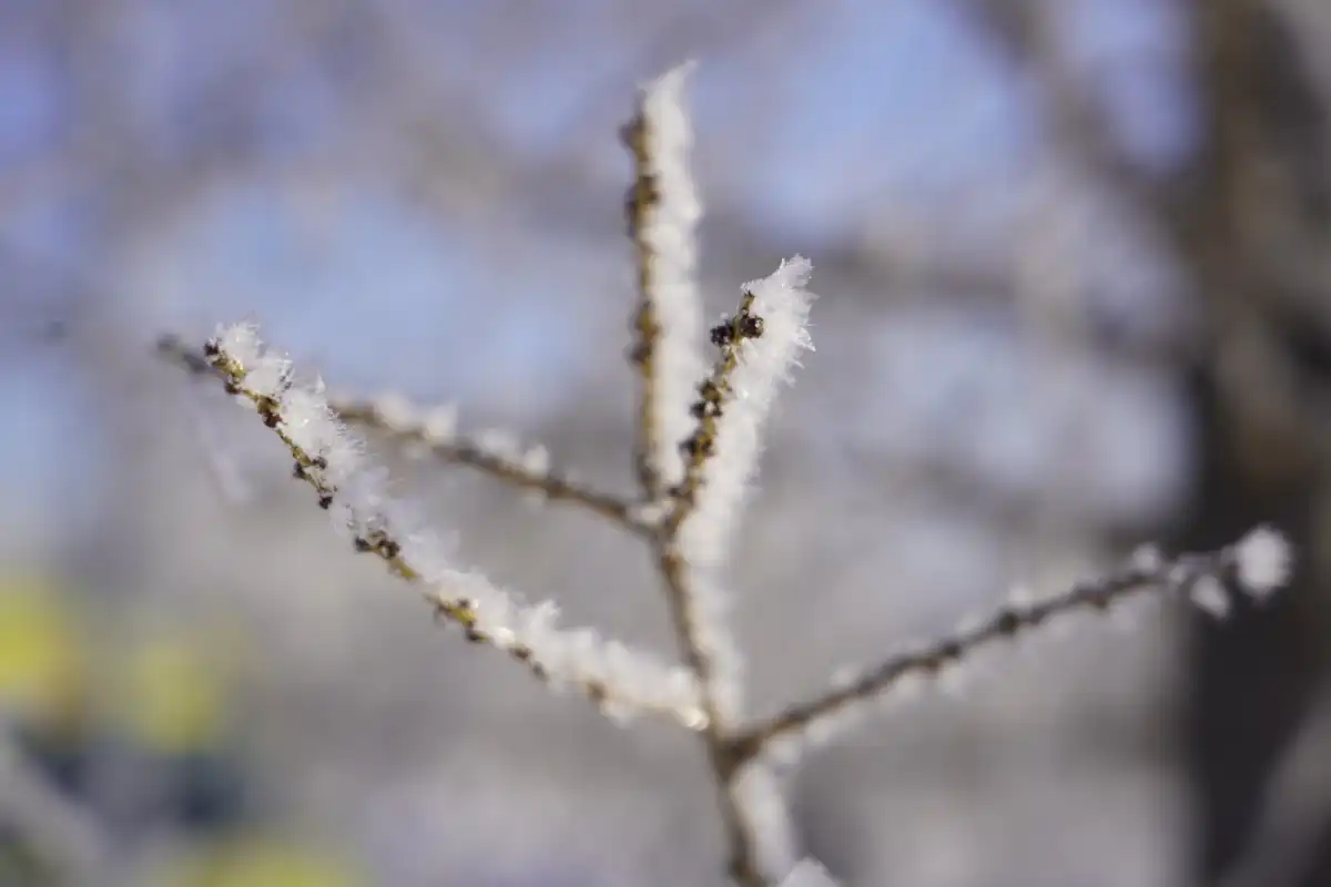 Теплый весенний день ждет астанчан