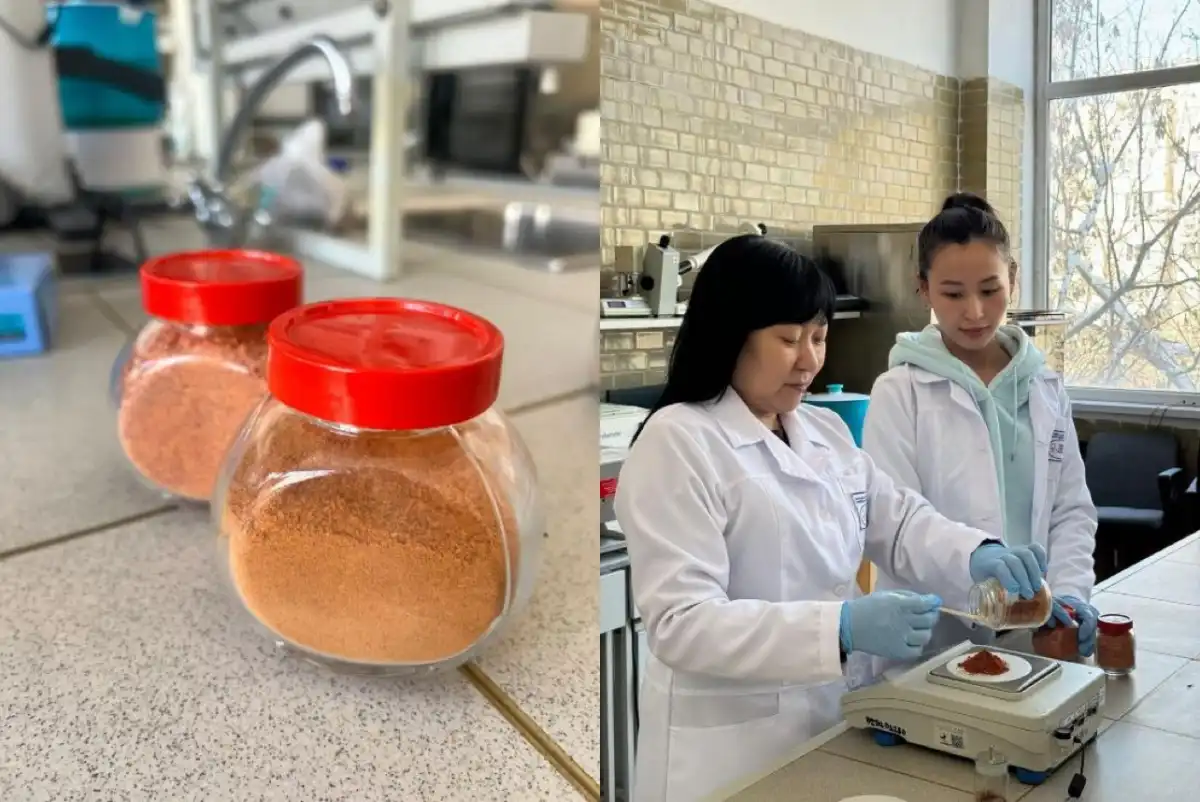 БАД для профилактики онкологии разрабатывают казахстанские ученые