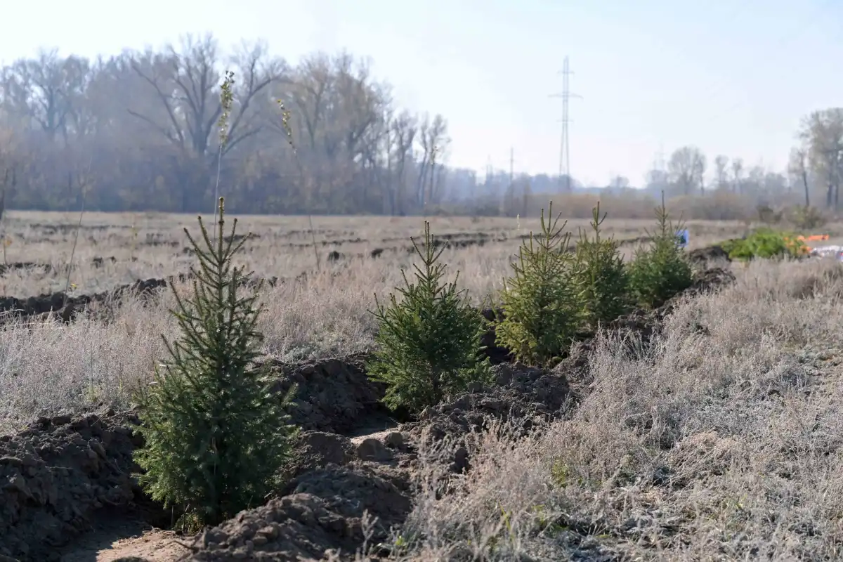 Новая Конституция – новые экологические стандарты: как Казахстан модернизирует экологическую политику
