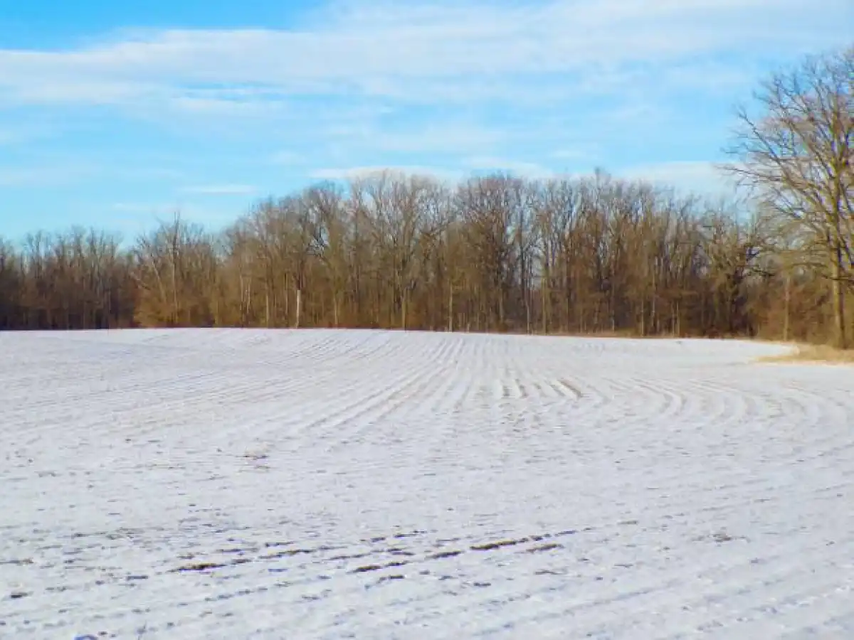 129 гектаров заброшенных сельхозземель изъяли в Кызылординской области