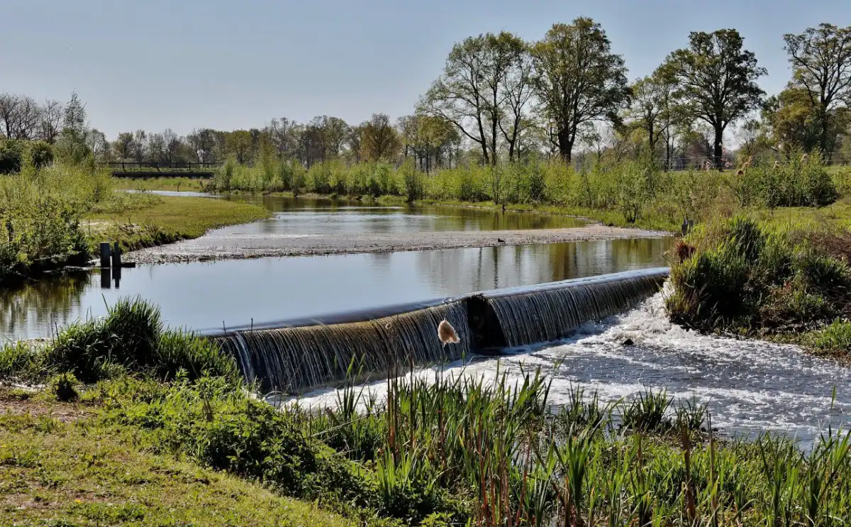 Масштабная экологическая акция по очистке родников стартовала в Казахстане