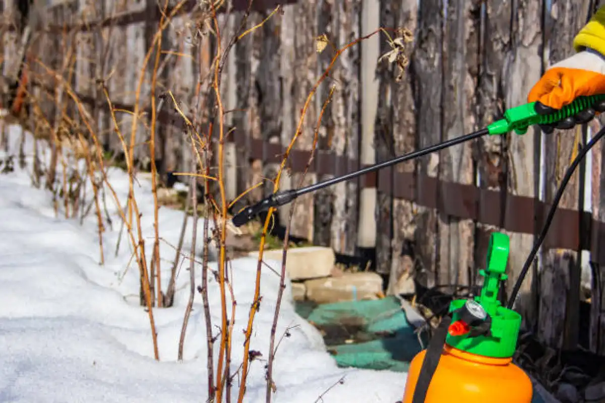 Весенняя дератизация от грызунов стартовала в столице