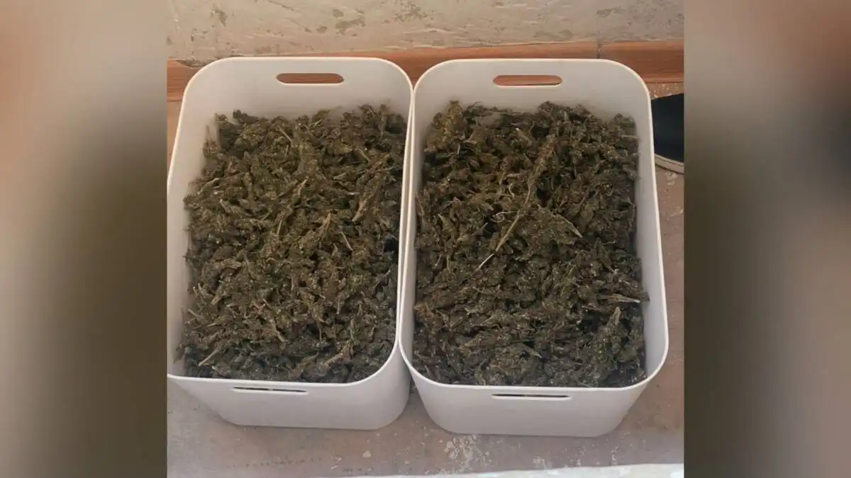 Почти 4 кг наркотиков изъяли у задержанных в Актау