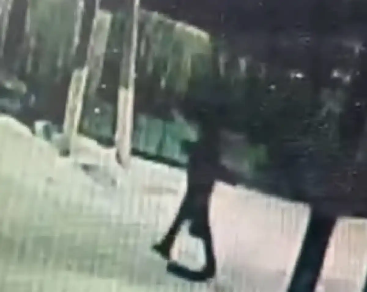 Вернулись с болгаркой и вскрыли: сейф акмолинского бизнесмена разочаровал воров