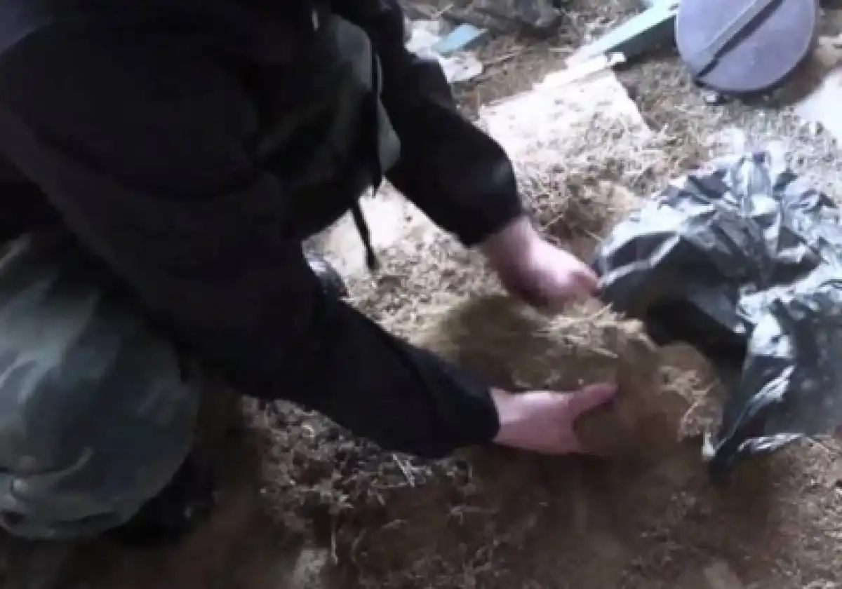 Приправлял блюда наркотиком житель ВКО