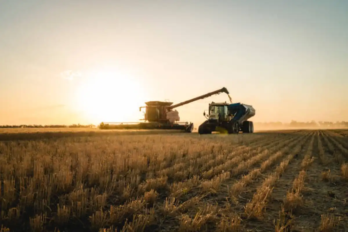 Казахстан занимает 6-е место в мире по площади сельхозугодий