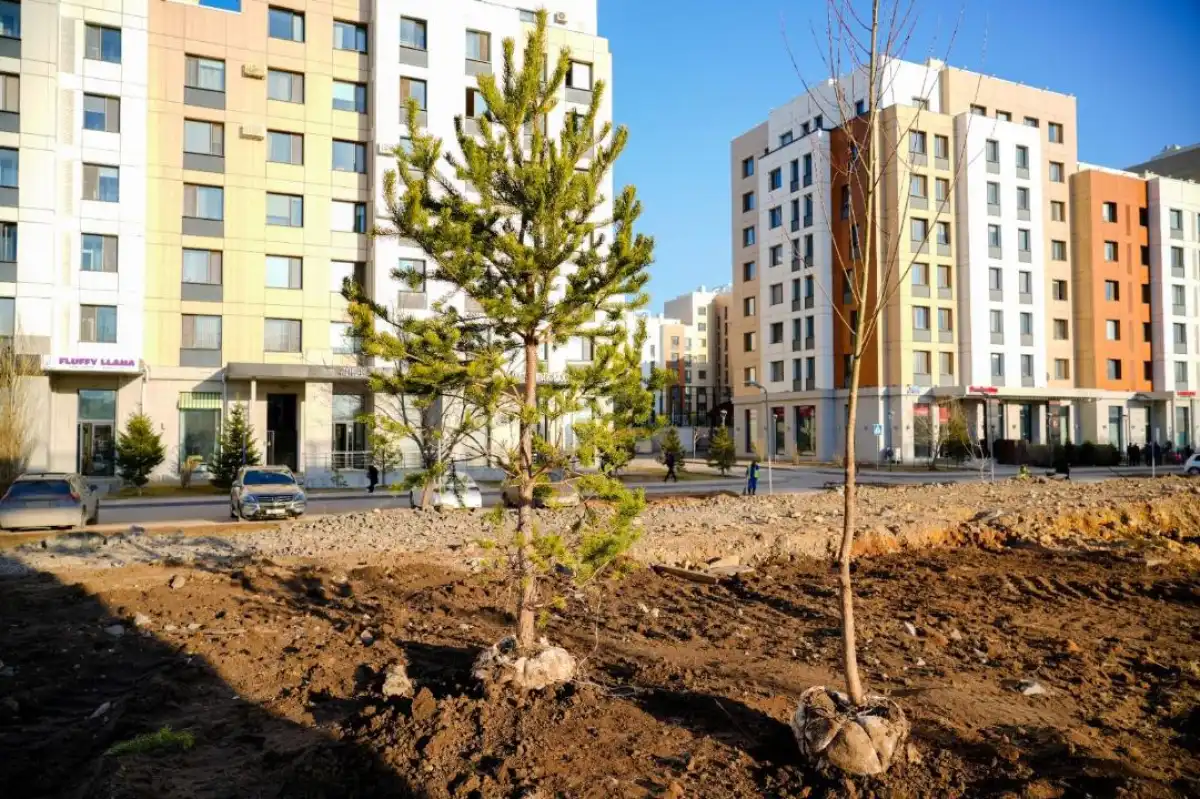 1 млн зеленых насаждений высадят в Астане в текущем году