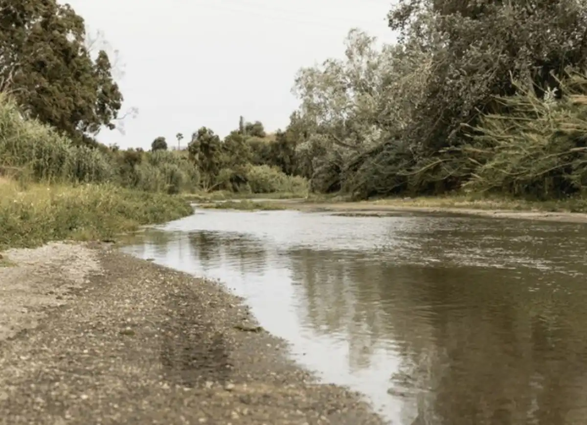 Тело утонувшей девочки нашли в Туркестанской области