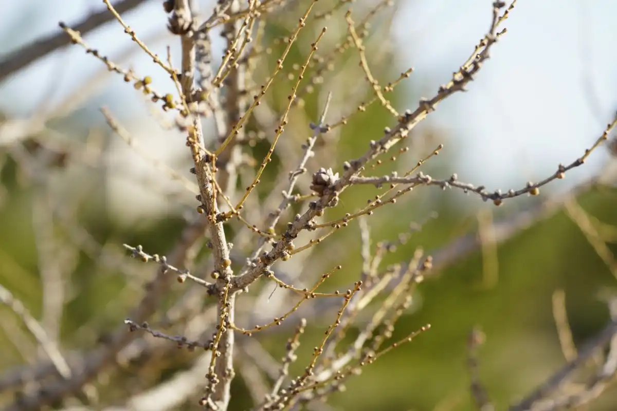 Какой будет погода в Астане 6 апреля