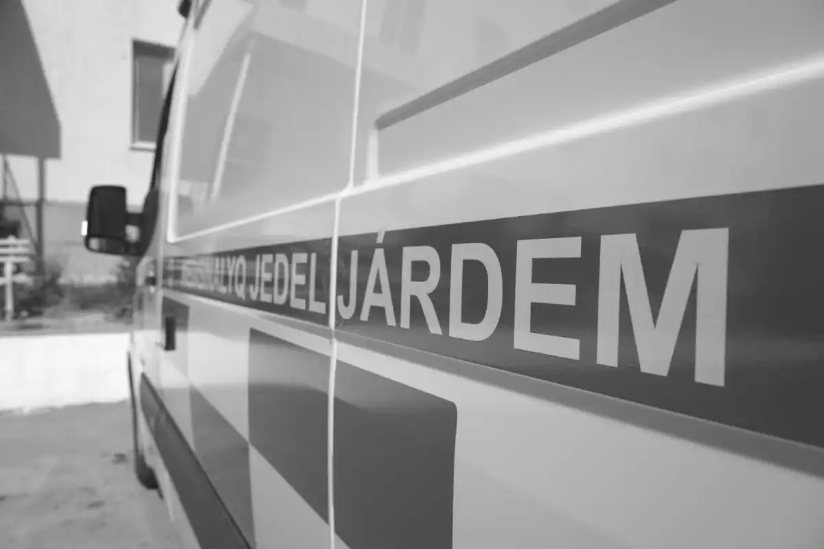 Попытка спасти кота стоила жизни павлодарцу