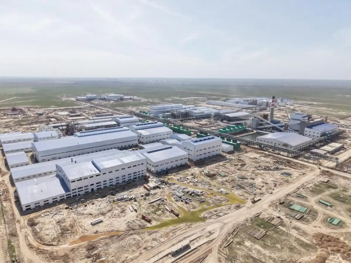 Казахстанский завод впервые производит аминокислоты из кукурузы