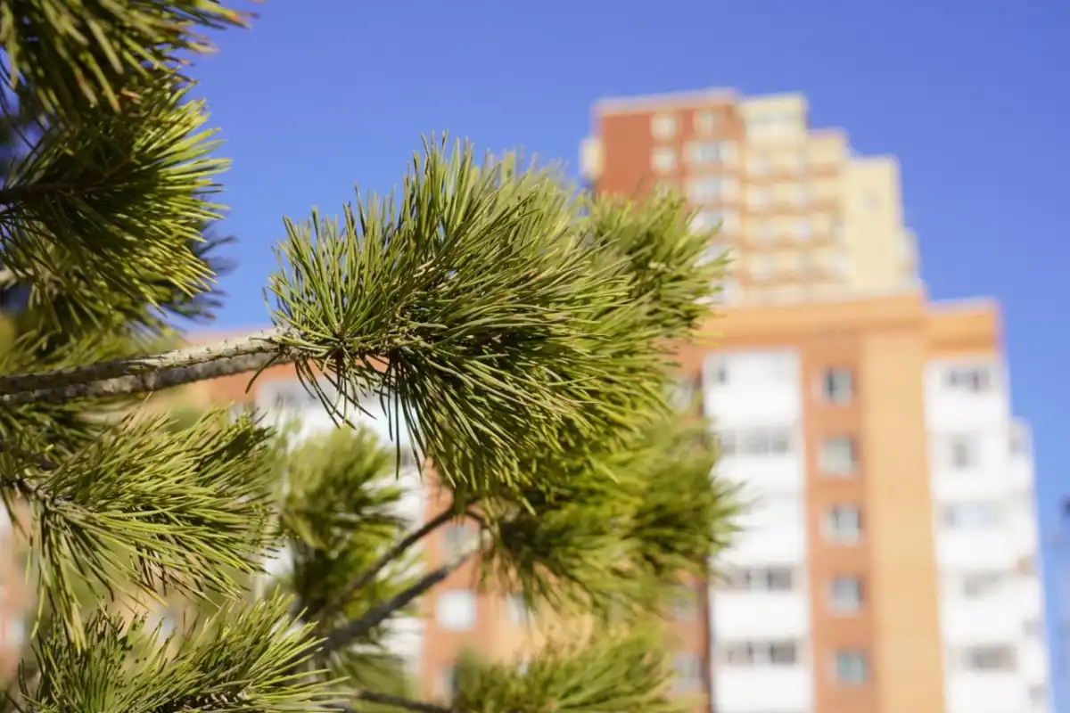 В Астане потеплеет до +20°C
