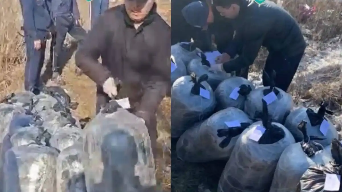 13 мешков марихуаны изъяли в гараже в Павлодаре