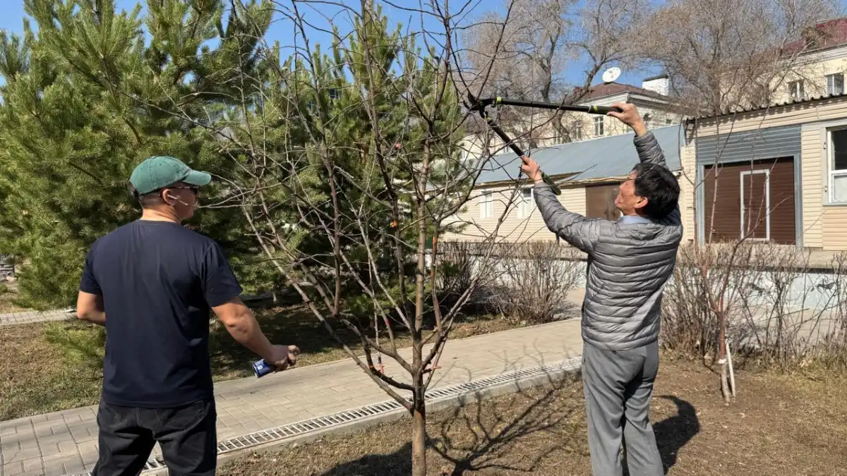 «Начни с себя!»: в Астане представители сферы культуры приняли участие в челлендже чистоты