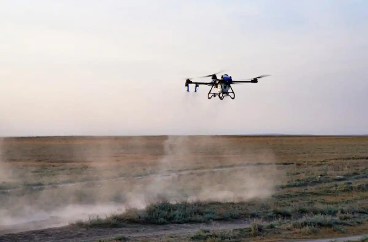 Более 100 дронов привлекут к борьбе с саранчой в Казахстане