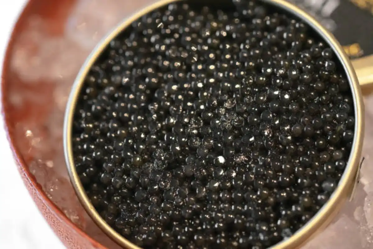 Закупить осетровую икру на 147 млн тенге намеревались в Атырауской области