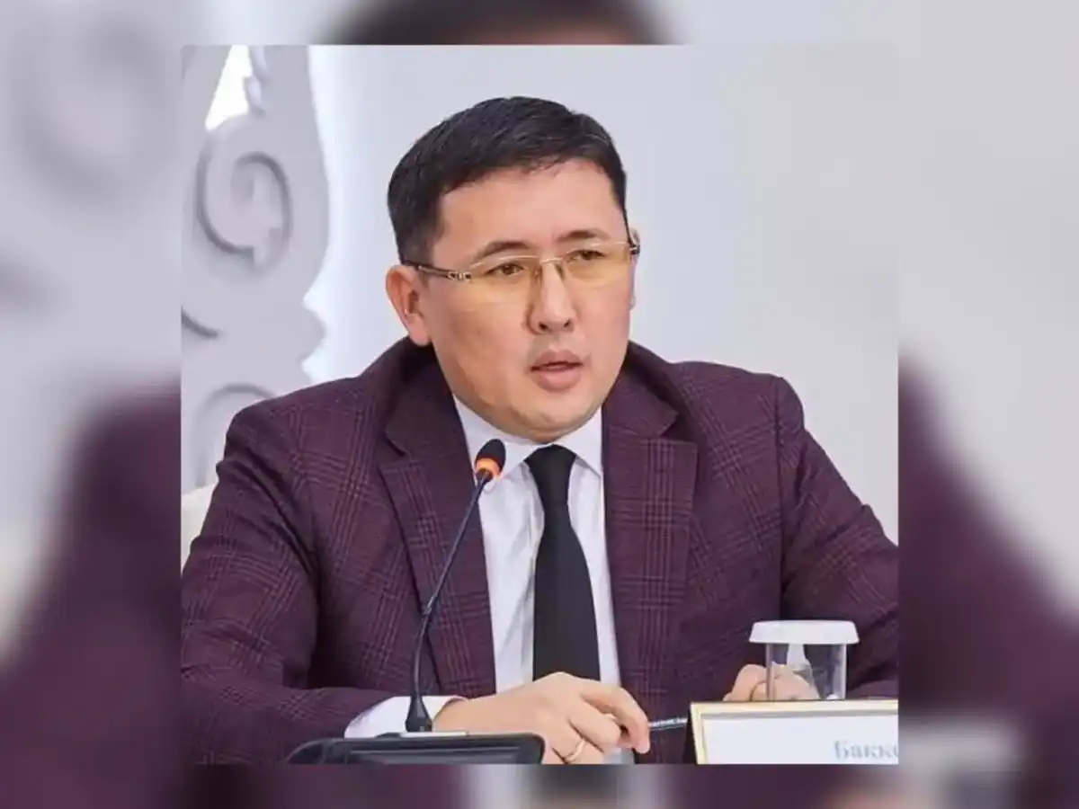 Депутат о бродячих собаках: «Государство обязано защищать граждан»