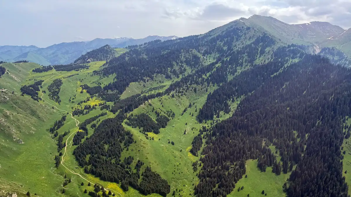 Государству вернули землю в предгорьях Заилийского Алатау