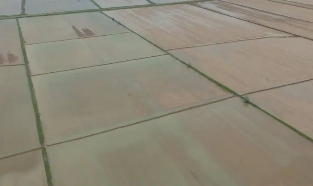 400 млн кубометров воды направили на промывку почв в Туркестанской области