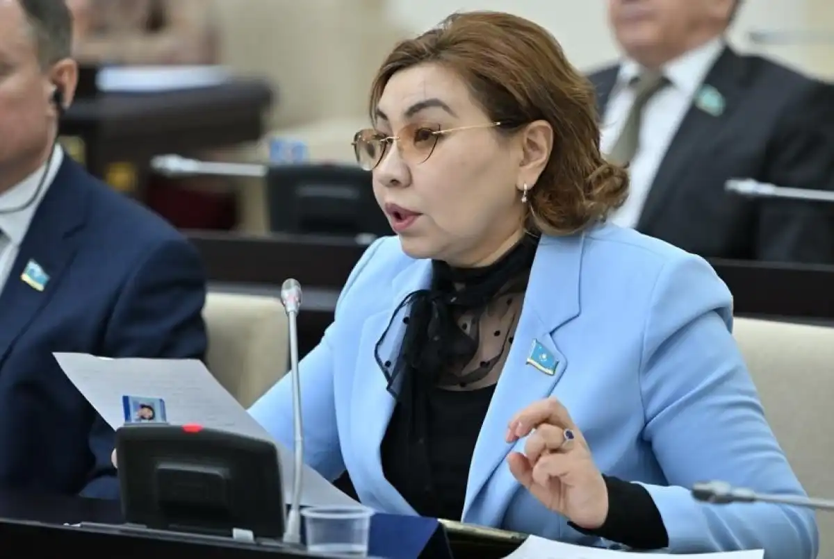 Бибигуль Жексенбай предложила усилить защиту прав граждан, работающих в сфере доставки и такси