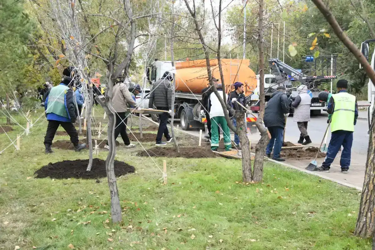 Экоакции по благоустройству и посадке деревьев пройдут в столице
