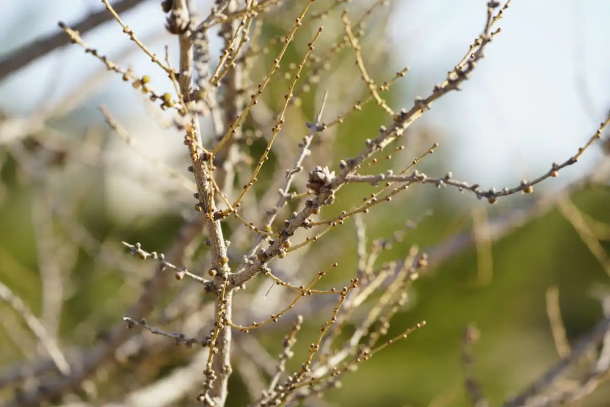 Какой будет погода в Астане сегодня