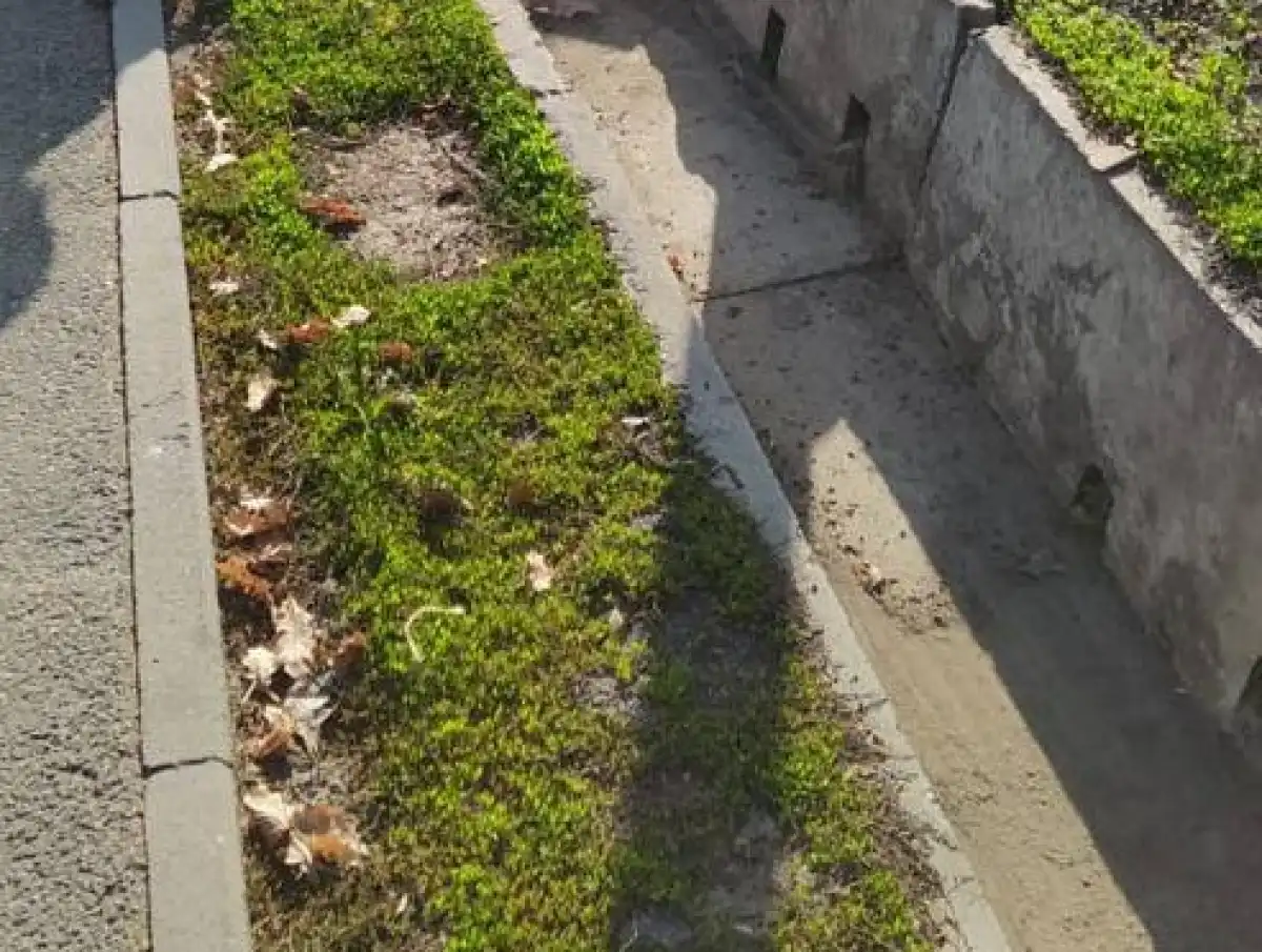 Житель Алматы погиб, упав в арык