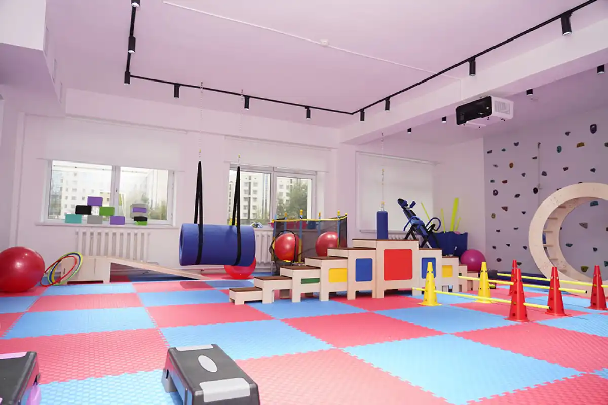 Свыше 100 социальных проектов реализовано в Казахстане для развития инклюзивной среды