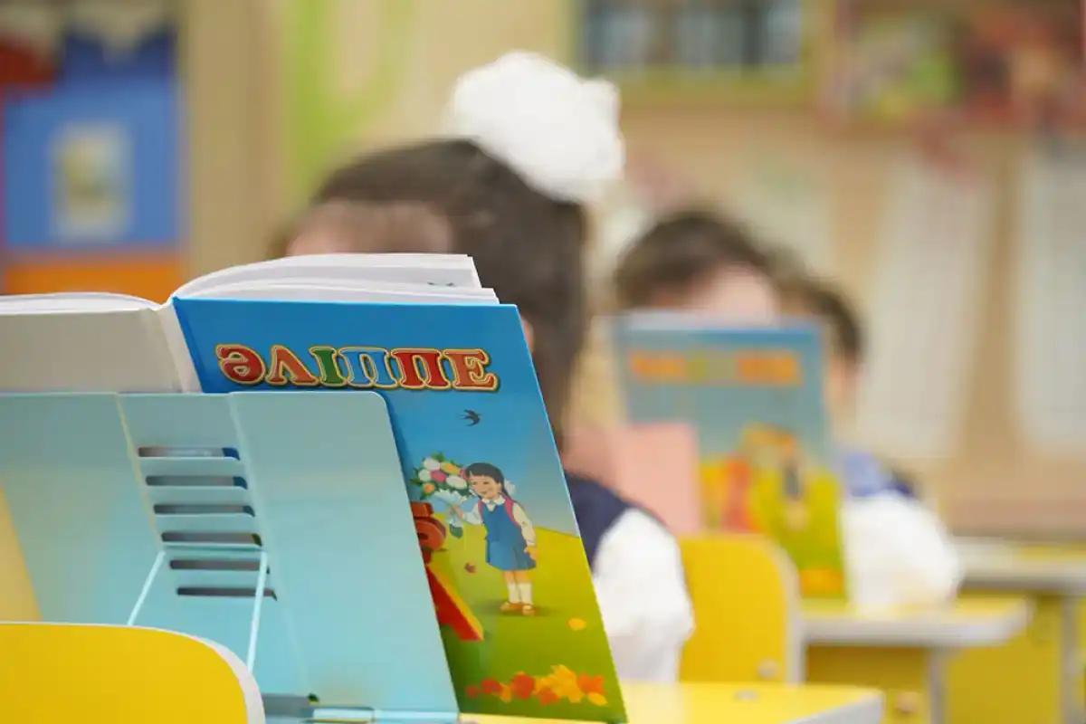 Более 230 тысяч детей с особыми образовательными потребностями обеспечат комплексной поддержкой в Казахстане