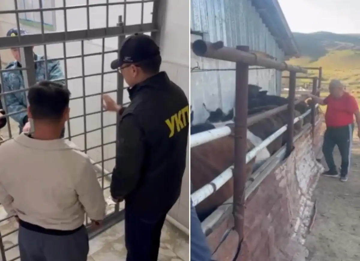 Пастуха с 17-летним стажем заподозрили в краже на 46 млн тенге в Жетысу