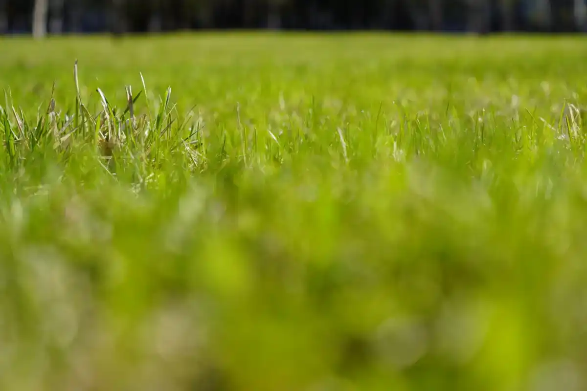 В области Улытау выявили грубые нарушения земельного законодательства