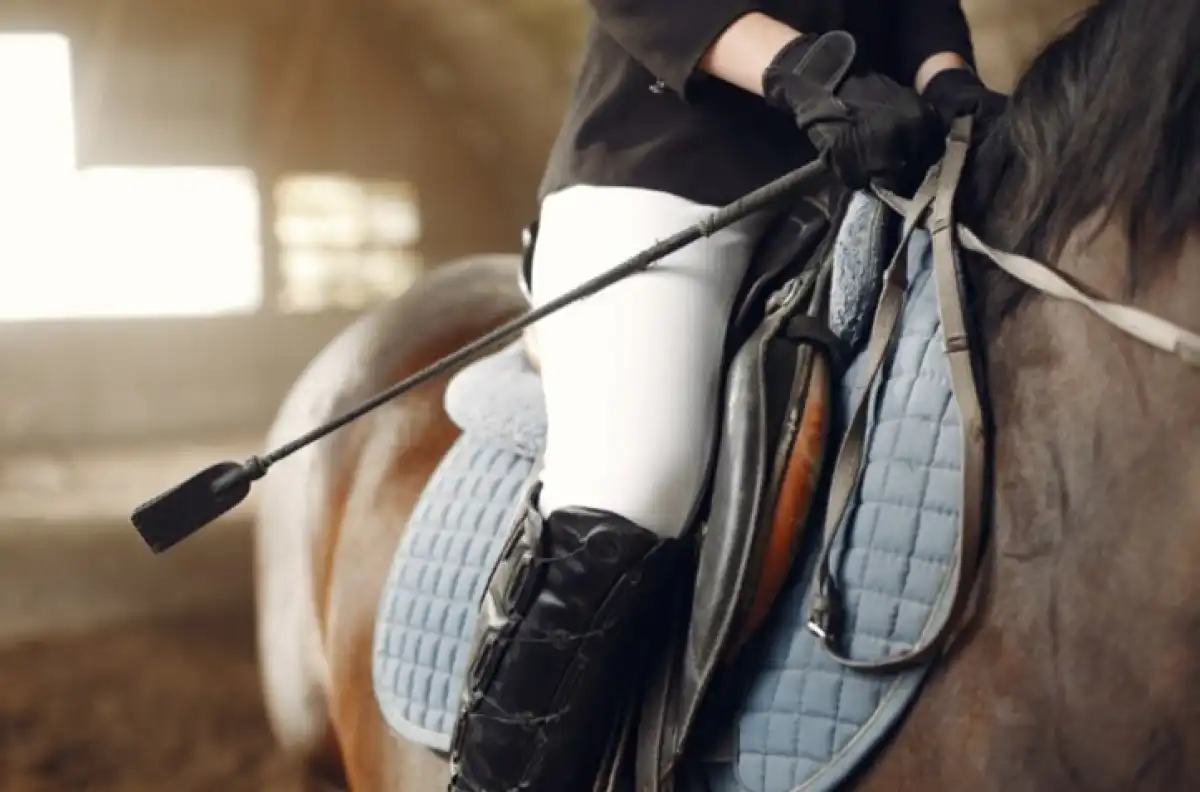 Казахстан предложил провести конные соревнования в Монголии