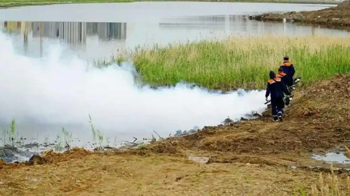 До 90% численность комаров снизят в столице