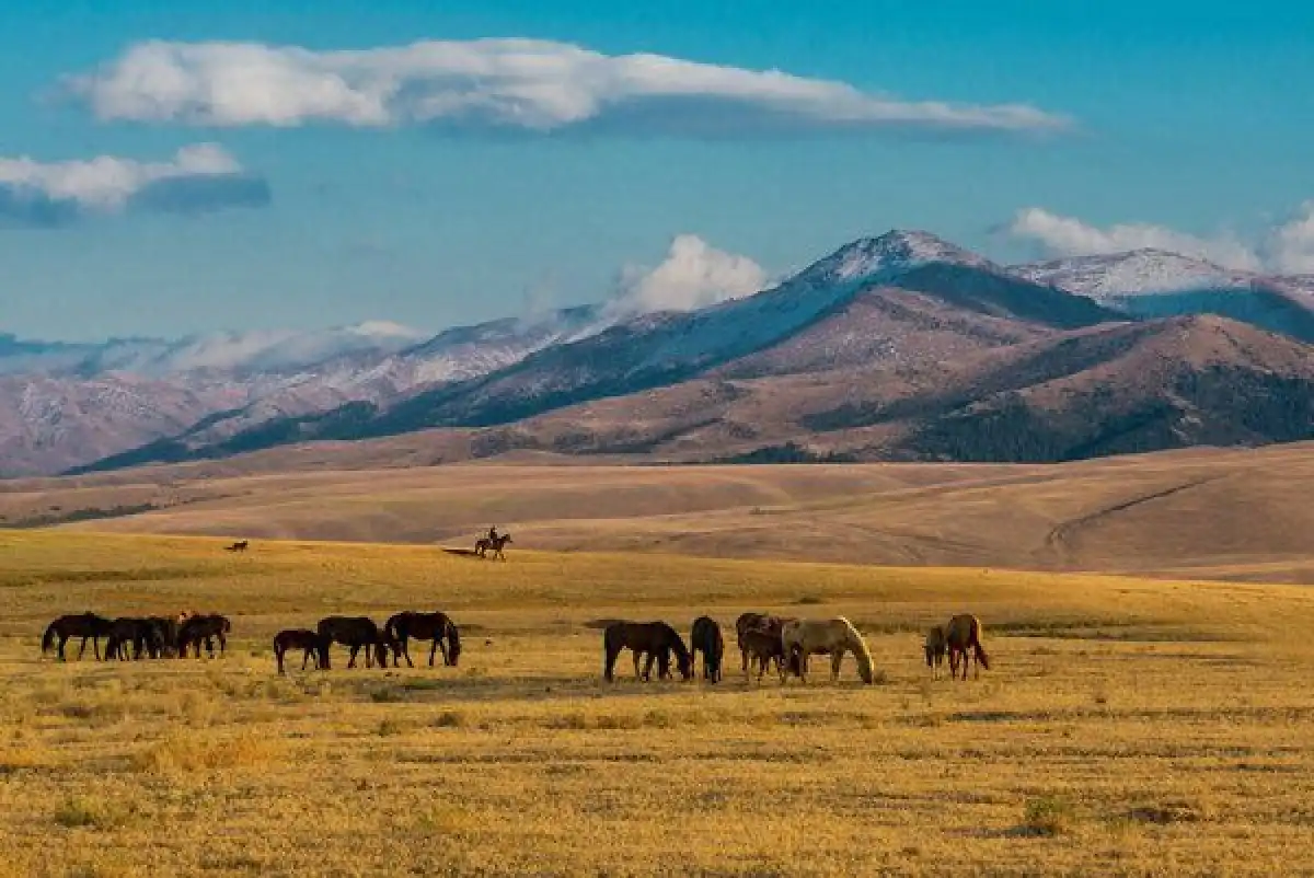 Где могут провести казахстанцы майские выходные