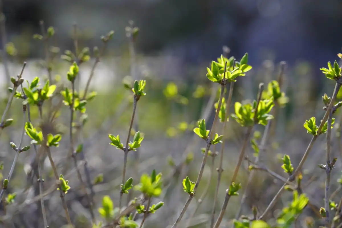 Какой будет погода в Астане сегодня