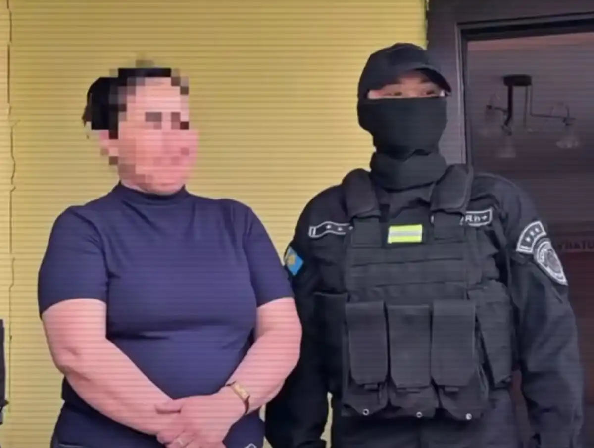 Казахстанка через общественницу пыталась продать своего младенца за 1 млн тенге