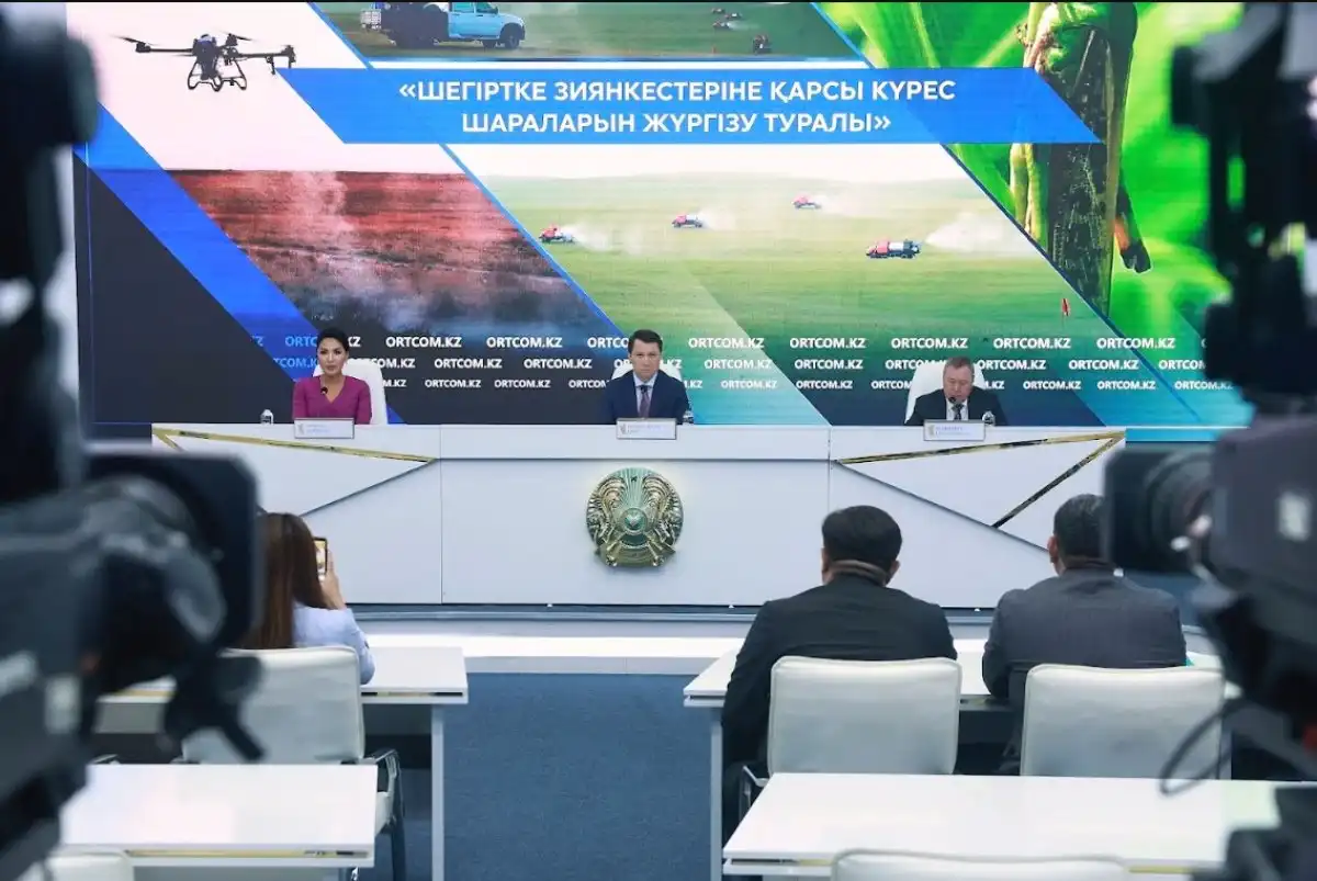 385 тыс. гектаров обработали против саранчи в Казахстане