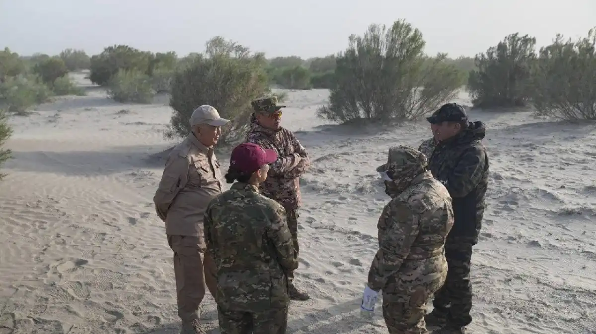 Зеленый щит Арала: как на дне высохшего моря создают лес площадью более миллиона гектаров