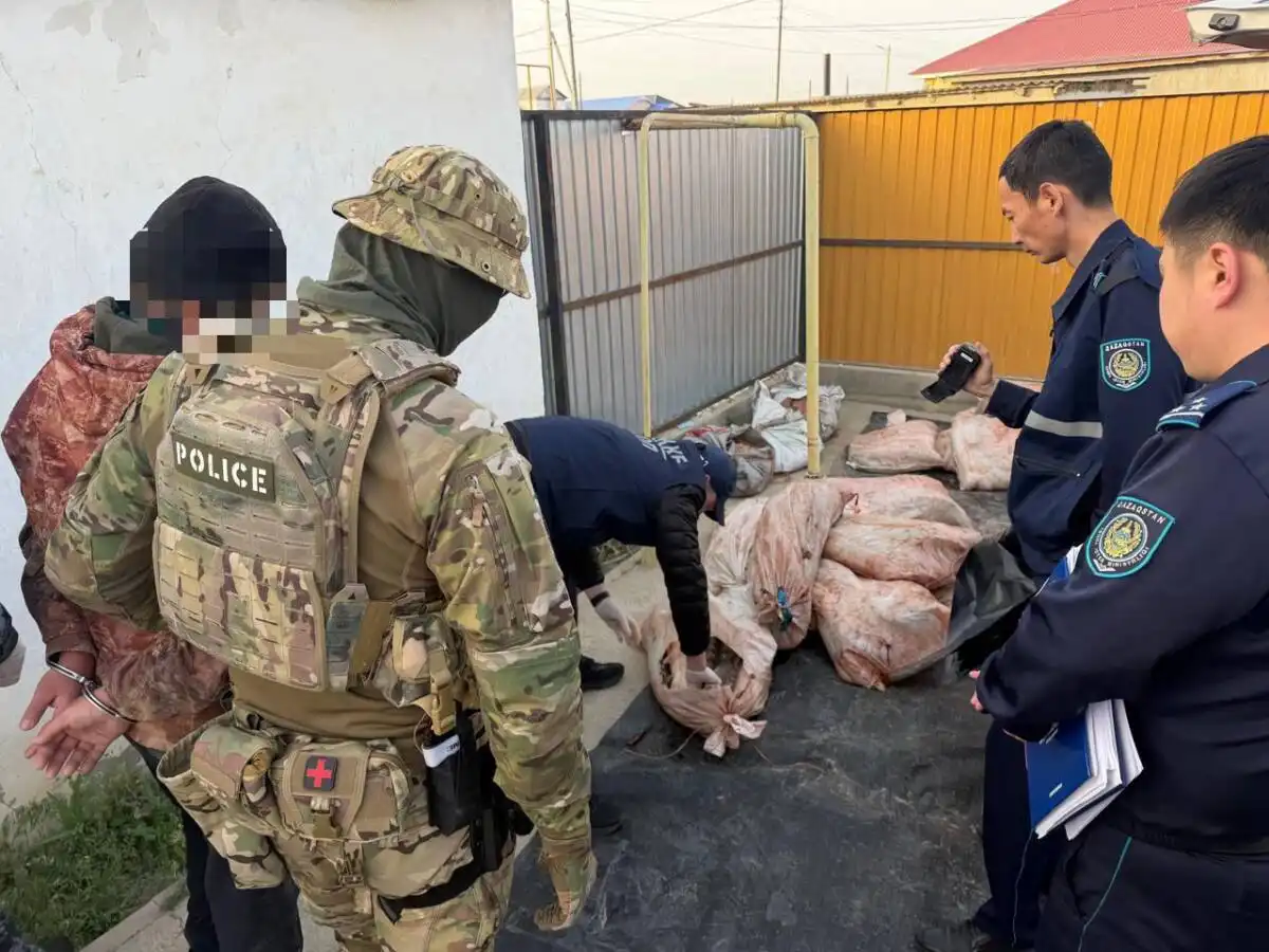 Более 4 тонн рыбной продукции изъяли из незаконного оборота в Атырауской области