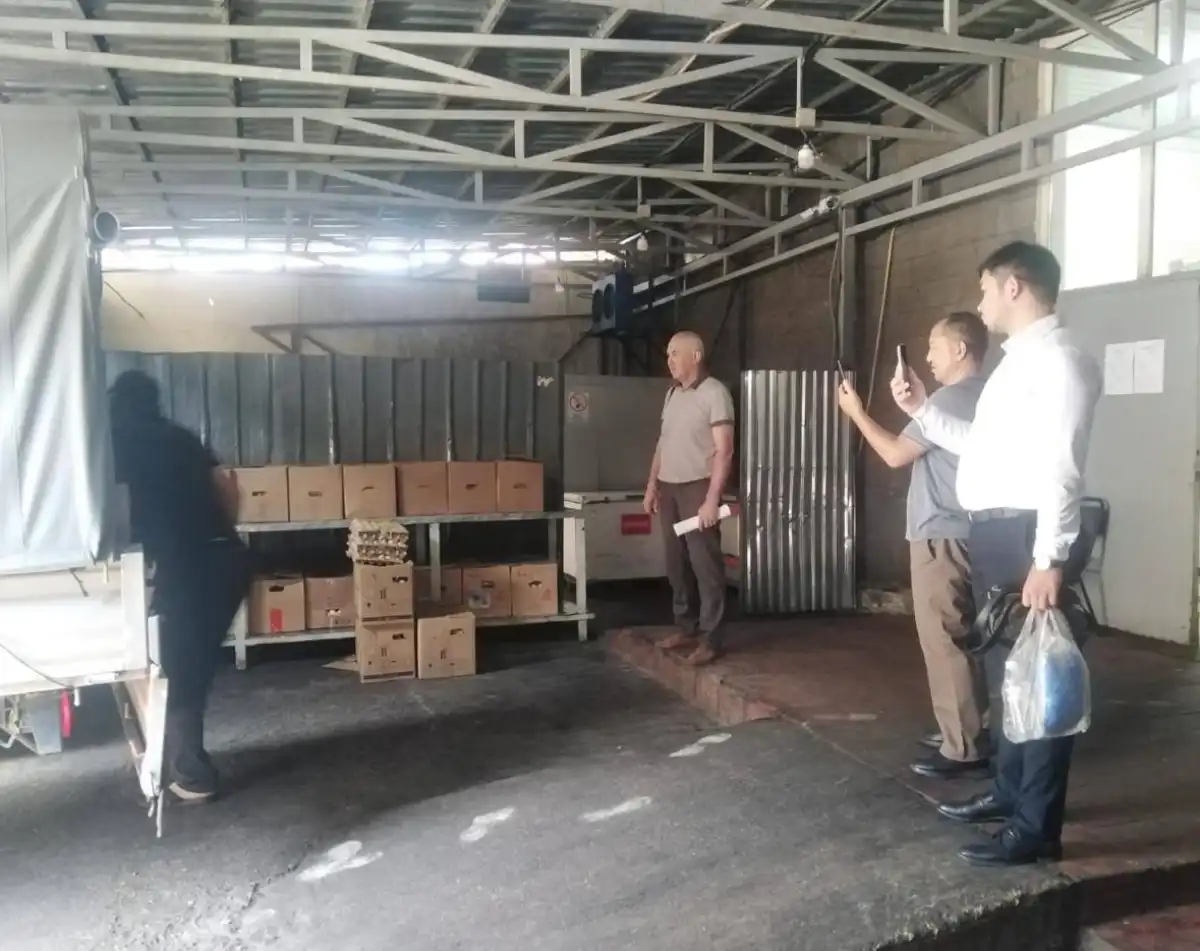 Более 13 тысяч сомнительных куриных яиц пытались продать на рынке в Алматы